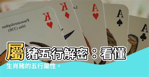 屬豬五行顏色